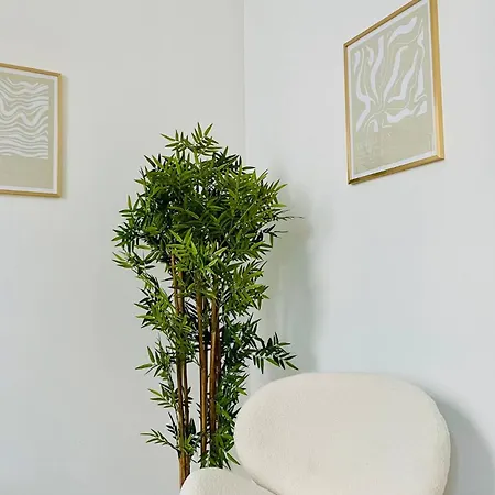 Le Saint Nicolas, Hypercentre, Lr123 * La Rochelle (Charente-Maritime)